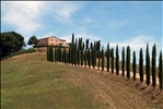 Casolare (Montalcino - Toscana)